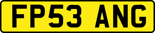 FP53ANG