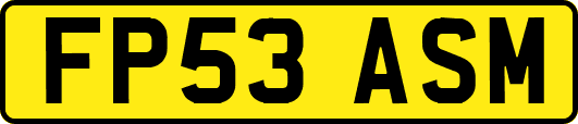FP53ASM