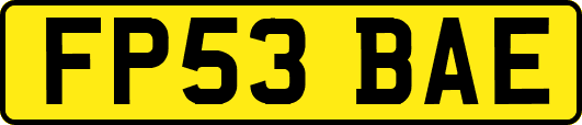 FP53BAE