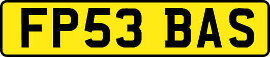 FP53BAS
