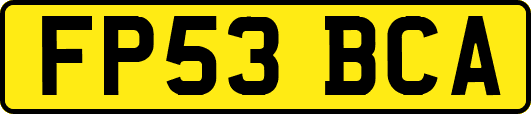 FP53BCA