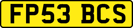 FP53BCS