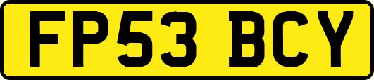 FP53BCY