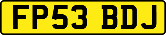 FP53BDJ