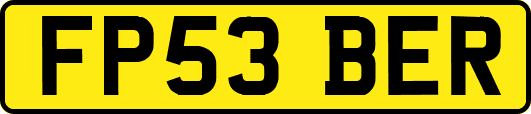 FP53BER