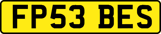 FP53BES