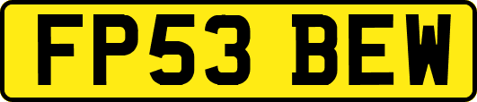 FP53BEW