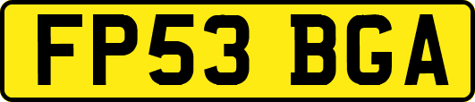 FP53BGA
