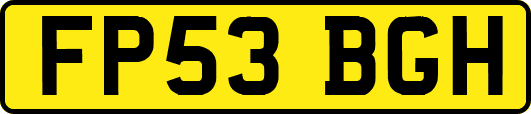 FP53BGH