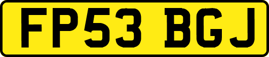 FP53BGJ