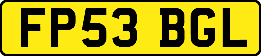 FP53BGL
