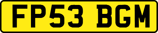 FP53BGM