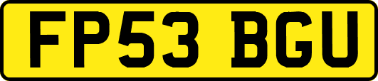 FP53BGU