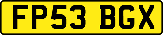 FP53BGX