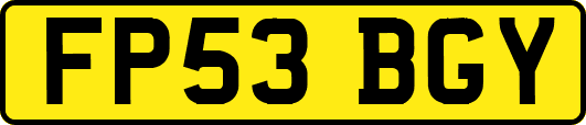 FP53BGY