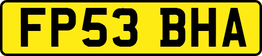 FP53BHA