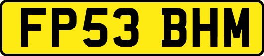 FP53BHM