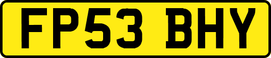 FP53BHY
