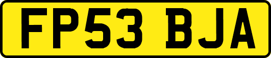 FP53BJA
