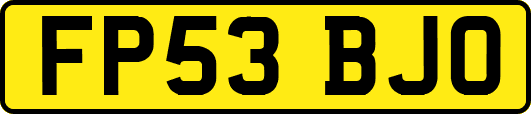 FP53BJO