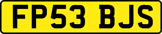 FP53BJS