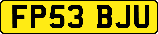 FP53BJU