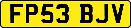 FP53BJV