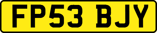 FP53BJY