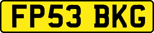 FP53BKG