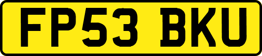 FP53BKU