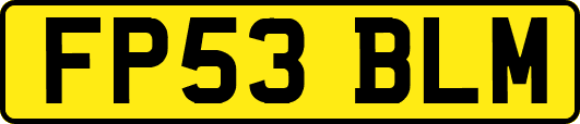 FP53BLM