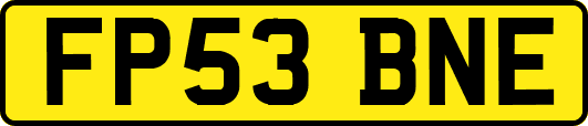 FP53BNE
