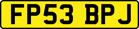 FP53BPJ