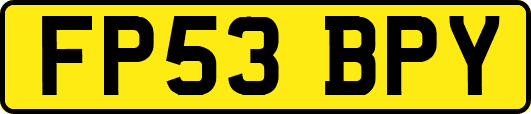 FP53BPY