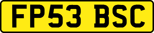 FP53BSC
