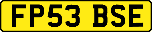 FP53BSE