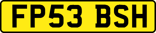 FP53BSH