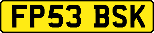 FP53BSK