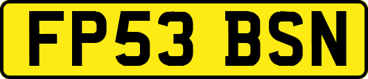 FP53BSN