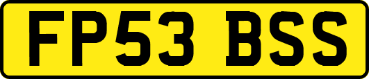 FP53BSS