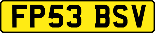 FP53BSV