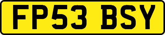 FP53BSY