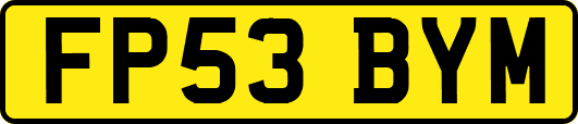 FP53BYM
