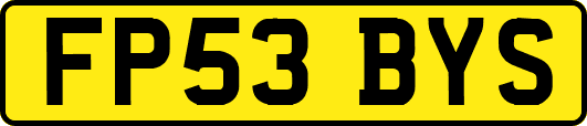 FP53BYS