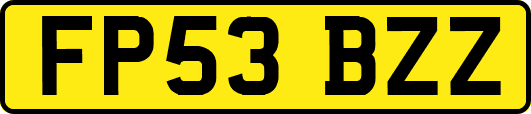 FP53BZZ