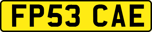 FP53CAE