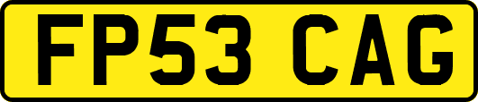 FP53CAG