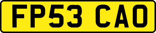 FP53CAO