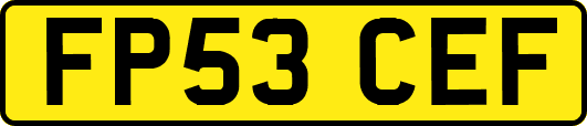 FP53CEF