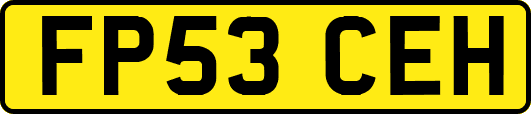 FP53CEH